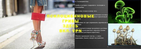 мет Богданович