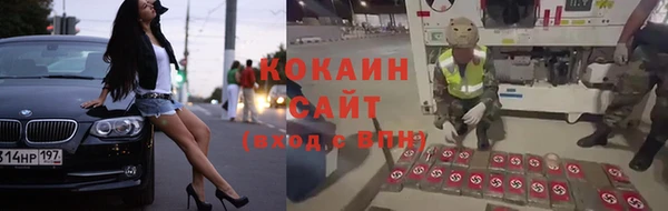 Альфа ПВП Богородицк