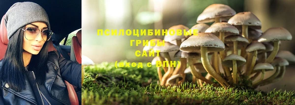 кокс Белокуриха